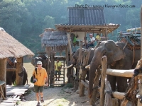 ปางช้าง หมู่บ้านกะเหรี่ยงรวมมิตร